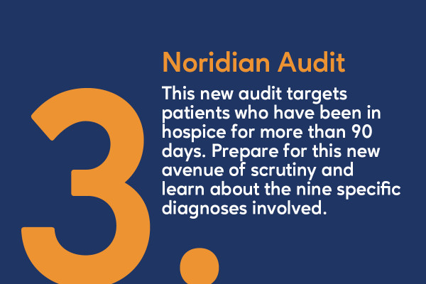 Problem 3. Noridian Audit